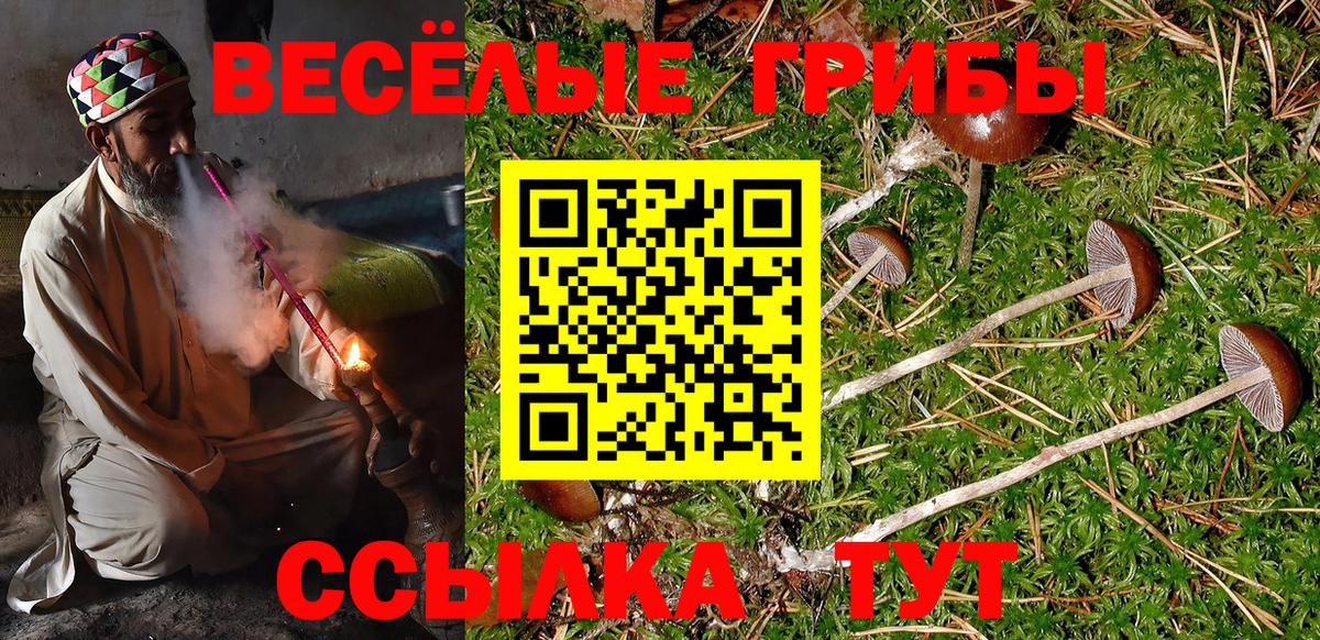 Галлюциногенные грибы мухоморы  Вход с VPN  Галлюциногенные грибы мухоморы  Нарткала 